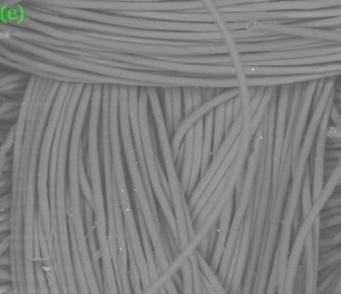 SEM image of different polyester fabrics and finished with 2% chitosan