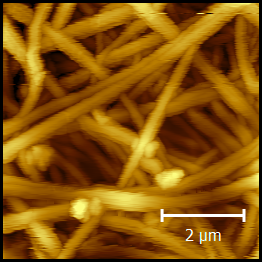 AFM topography image of a carbonized magnetic nanofiber mat