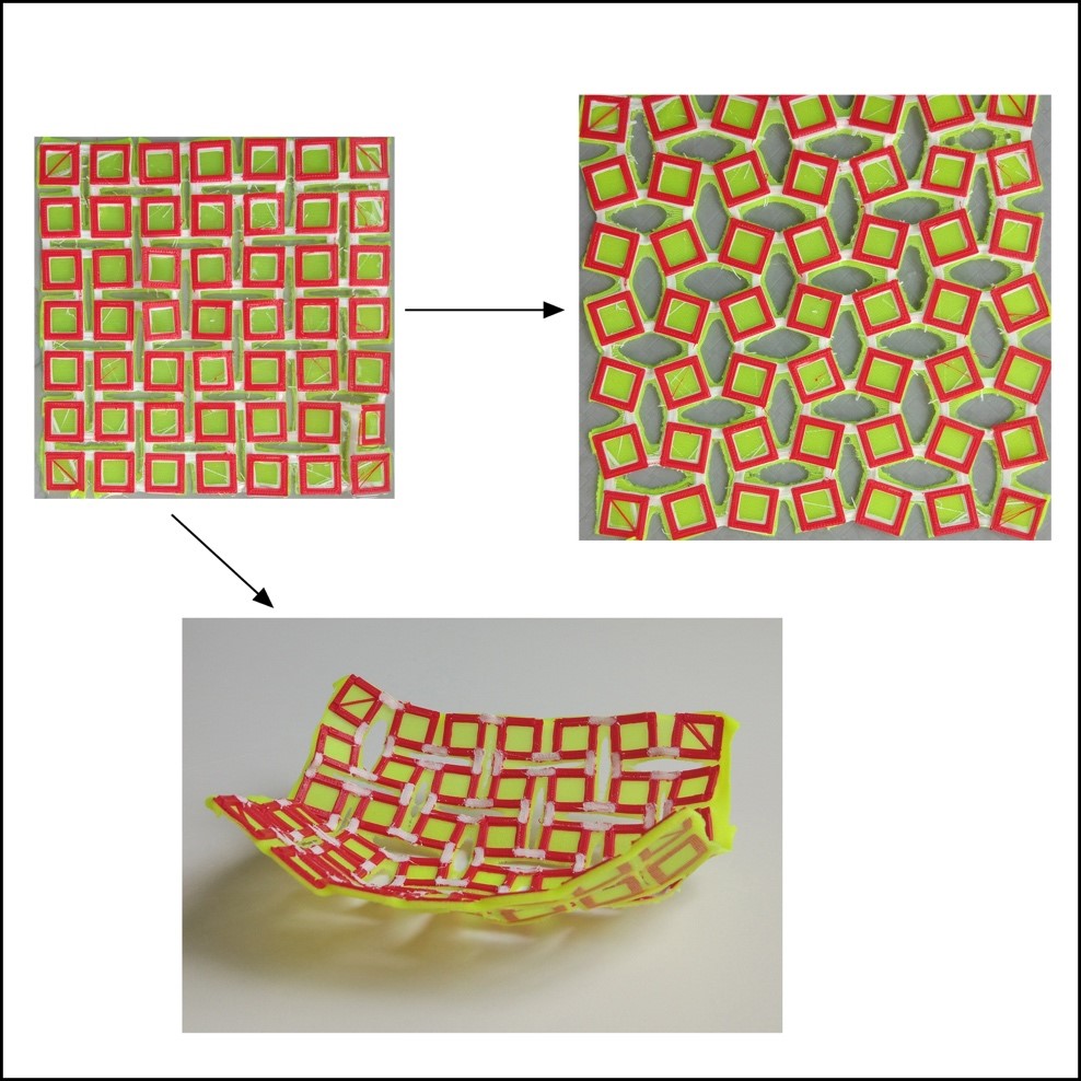 7x7 printed auxetic square structure on elastic jersey knit showing auxetic behavior with a Poisson’s ratio of -0.9 (right) and also ability to form synclastic surfaces (bottom).